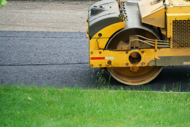 Best Driveway Border and Edging  in Helotes, TX